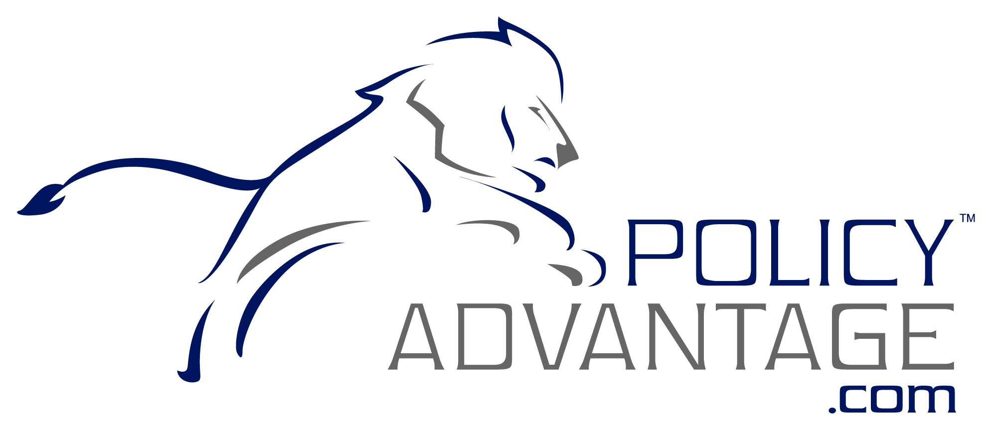 Policy Advantage Insurance Agency